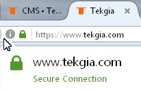 FireFox Padlock